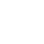 Next Level Apparel logo, characterized by clean lines and a modern font.