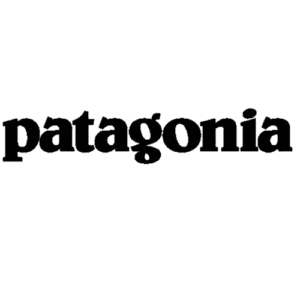 Patagonia logon in simple design & plain bakground