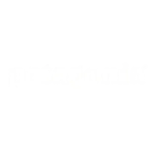 White Patagonia logo in bold serif font on black background