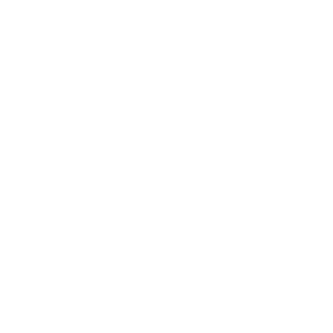 Stanley logo black winged bear crown heritage strength bold white text"
