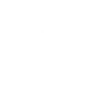 Stanley logo white winged bear crown on black background since 1913
